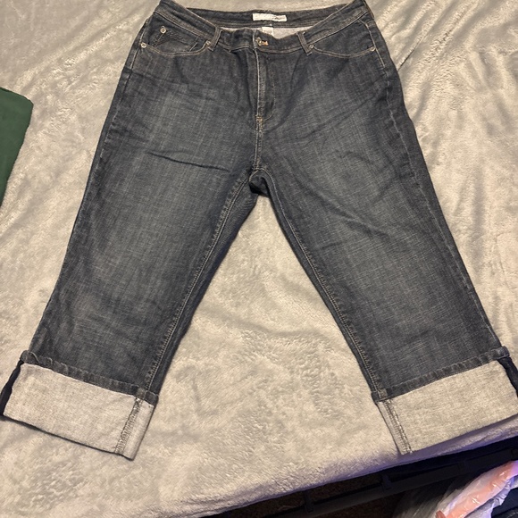 Chico‘s platinum - Picture 1 of 3